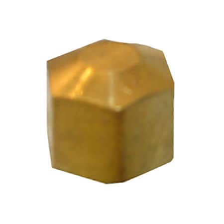 Larsen Supply Co 0.25 in. Brass Compression Cap, 6PK 207987
